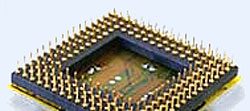 Microchip With Gold Pins